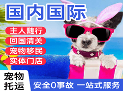 常州奔牛航空托运国际宠物托运 【国